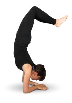 Yoga Asanas - der Skorpion